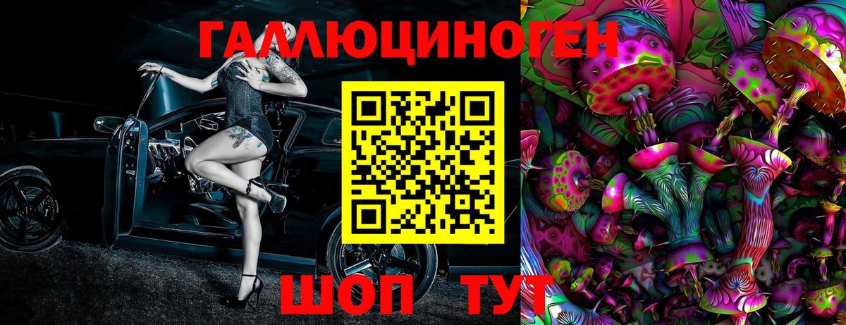 Галлюциногенные грибы Cubensis Вольск