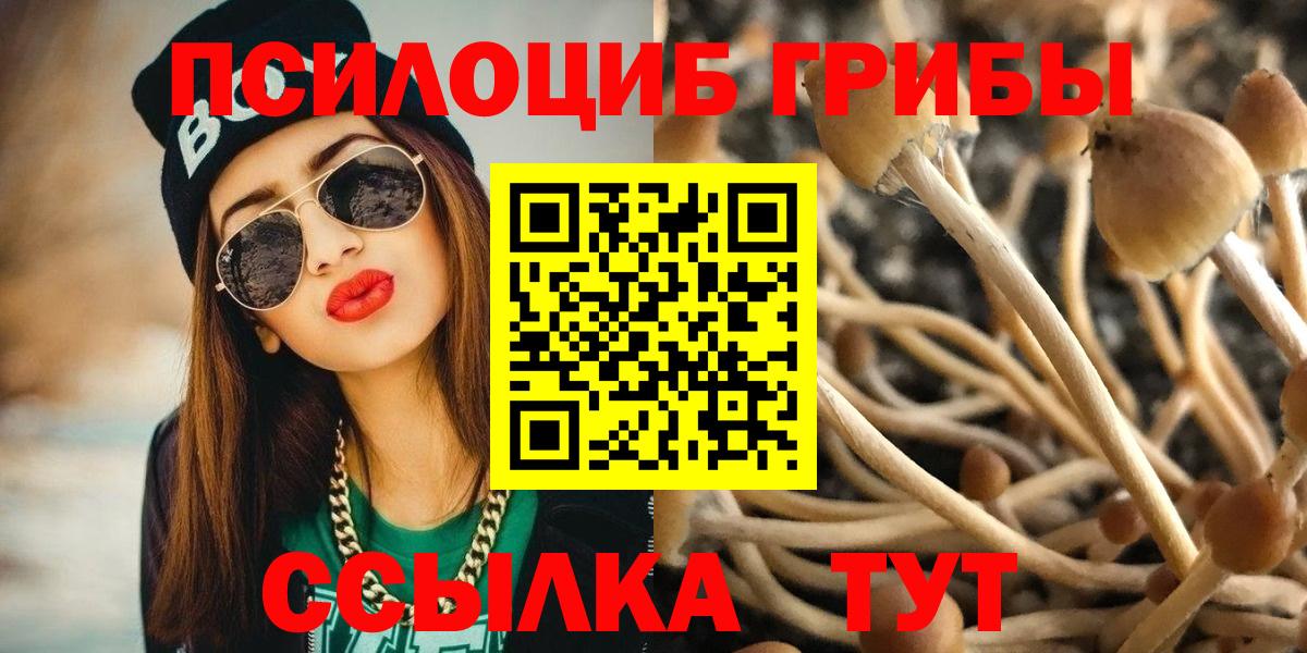 Псилоцибиновые грибы MAGIC MUSHROOMS  Псилоцибиновые грибы Psilocybine cubensis  Вольск  Вход с VPN 